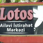 Lotos