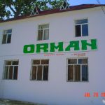 Orman
