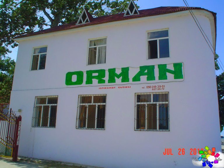 Orman