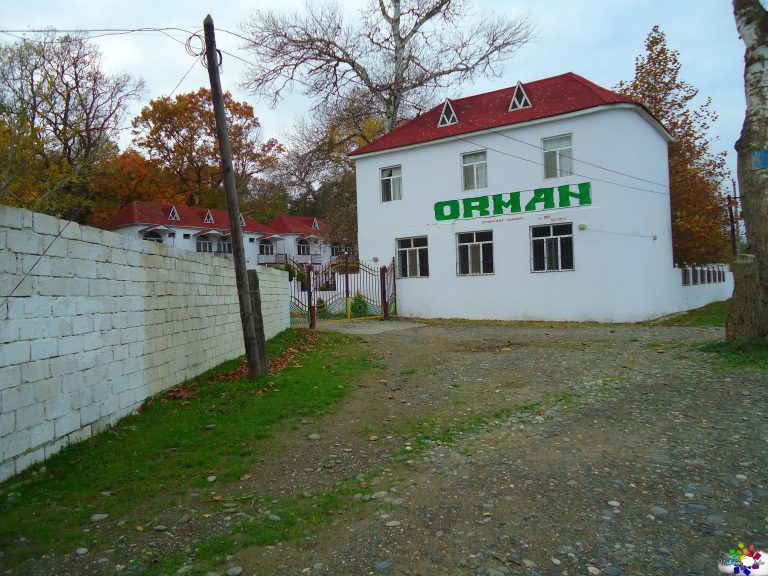 Orman