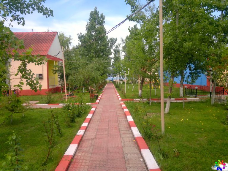 Jalə